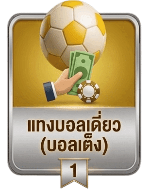 แทงบอลเดี่ยว (บอลเต็ง)